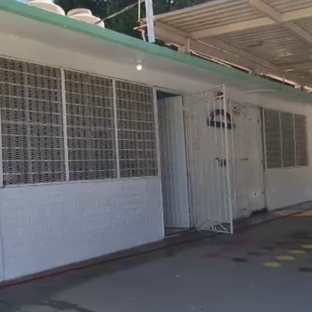 Alumnas de Primaria Fueron Atendidas por Picaduras de Alacrán e Insectos en Hermosillo
